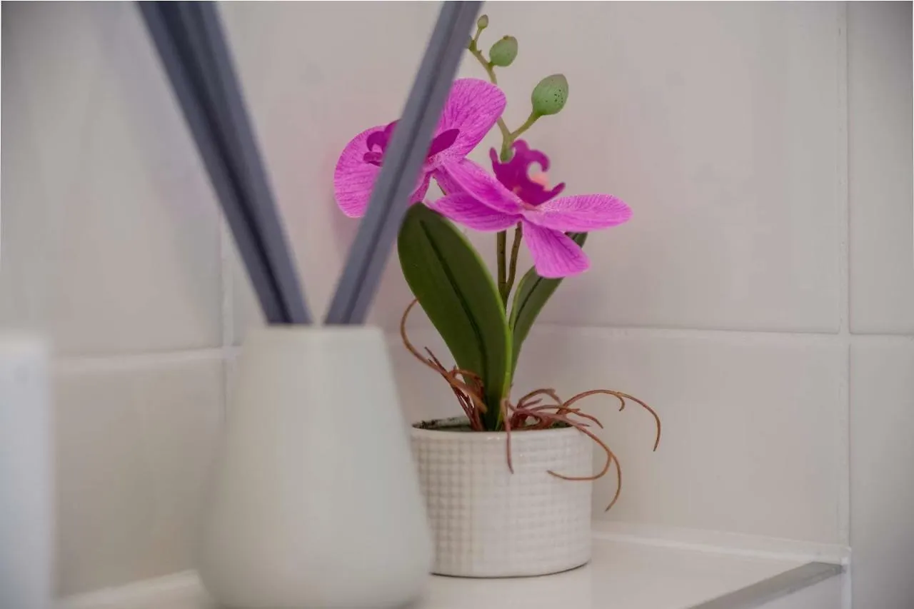 Casa San Vito Appartement Rijeka